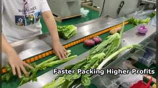 Large-scale vegetable packaging machine